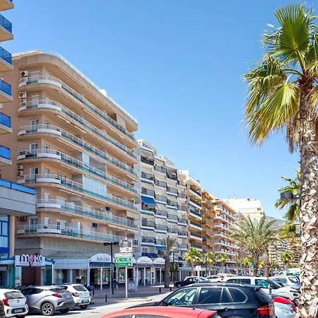 Genteel Corales Daire